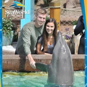 Meet your Posher, Noelle